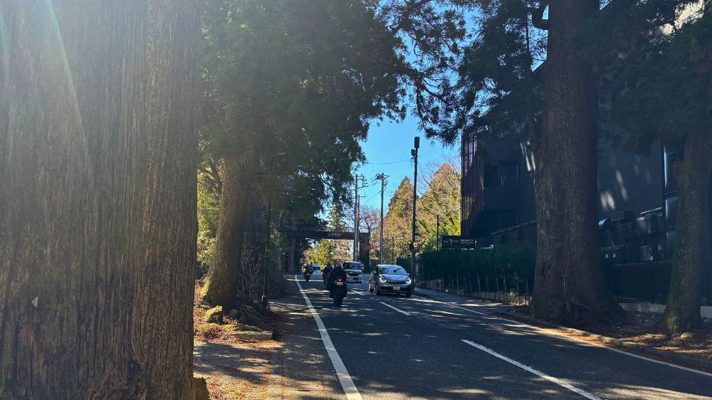 車道の車とバイクが走っている。道の両側には杉並木が続き、奥に家が建つ。