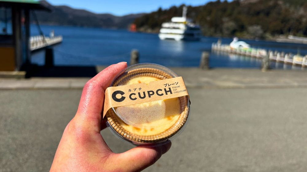 茶色のカップに入ったチーズケーキ。