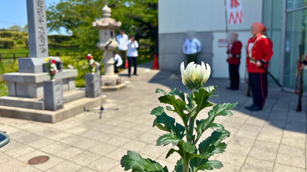 五稜郭祭の慰霊祭で箱館戦争戦没者慰霊碑を背景に咲く白い花