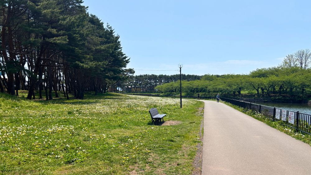 五稜郭公園のお堀沿いに続く遊歩道と広がる芝生の風景