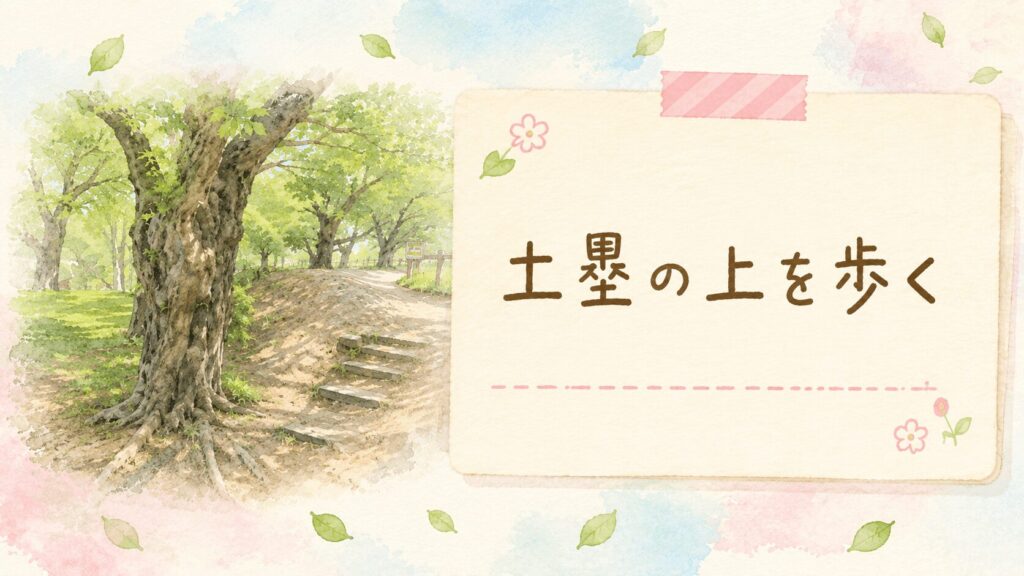 土塁の上を歩く散策路。木々に囲まれた土塁と樹木の根が続く自然豊かな遊歩道の風景のアイキャッチ