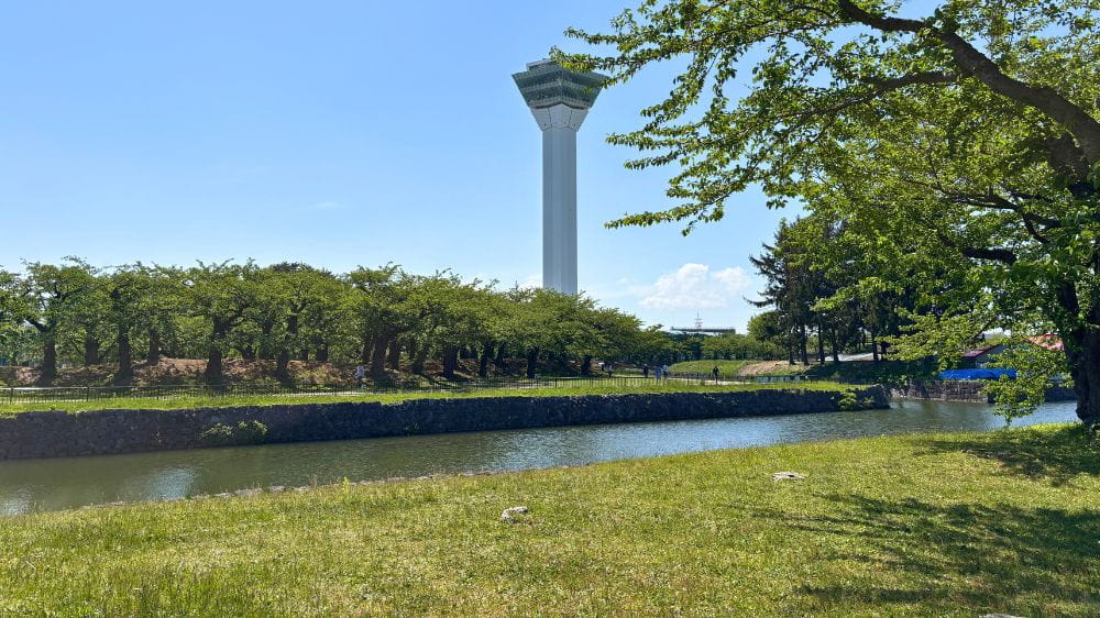 五稜郭公園のお堀越しに見える五稜郭タワー。新緑と桜並木に囲まれた風景