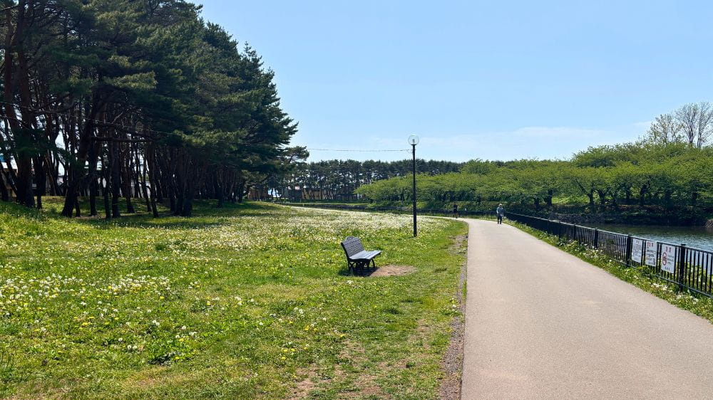 春の五稜郭公園で、堀沿いに続く外周路と芝生を撮影した風景