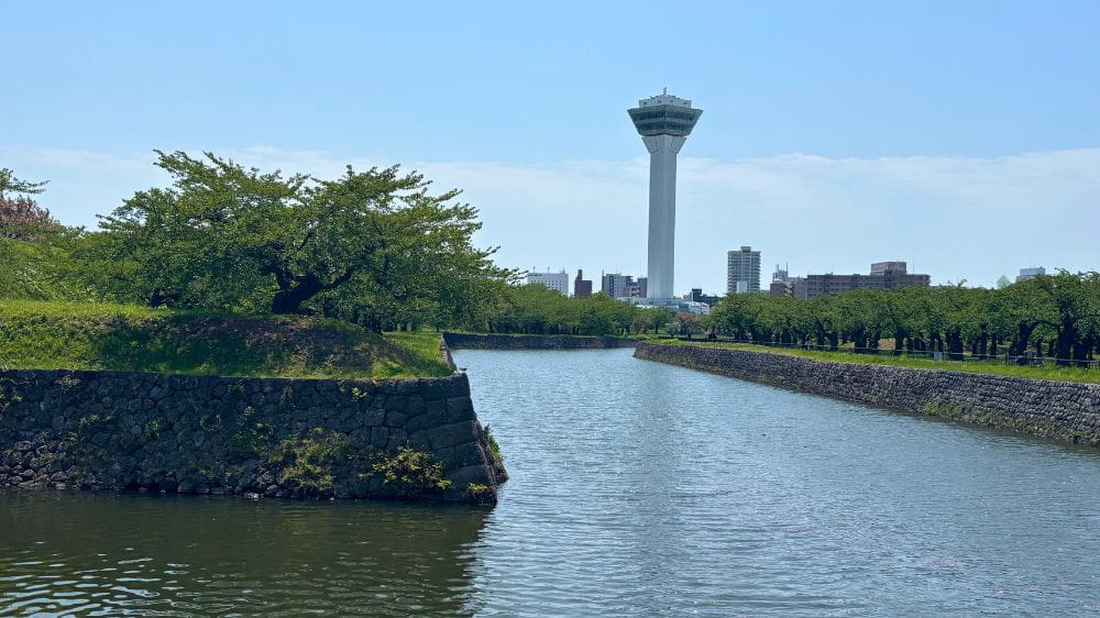 五稜郭公園のお堀越しに見える五稜郭タワーと新緑の桜並木